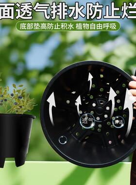 特大号蓝莓塑料花盆圆形青山侧排孔控根盆加厚绿植花卉呼吸种植盆