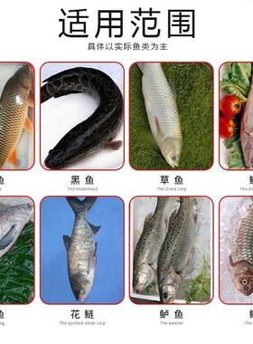 全自动宰鱼机杀鱼机开肚开背去鳞一体机立式剖鱼机商用去鱼鳞神器