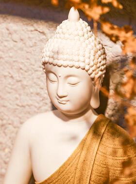 释迦摩尼陶瓷阿弥陀佛新中式菩提如来佛像摆件客厅玄关装佛具饰品