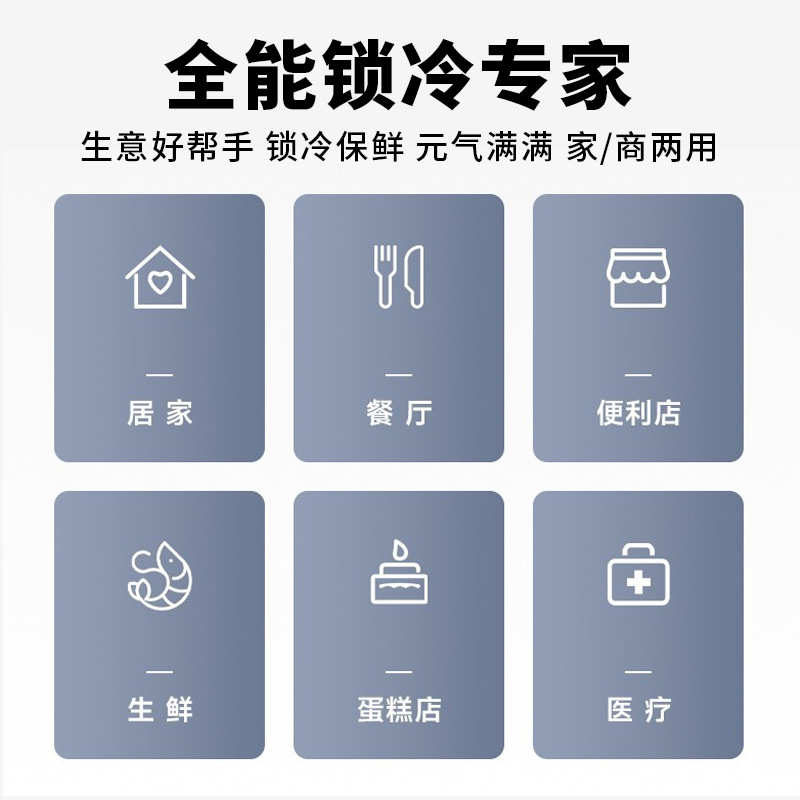 商用冰柜双卧式超市冷冻速冻冷柜冷藏大容量冰柜温温冰柜单大 - 图2