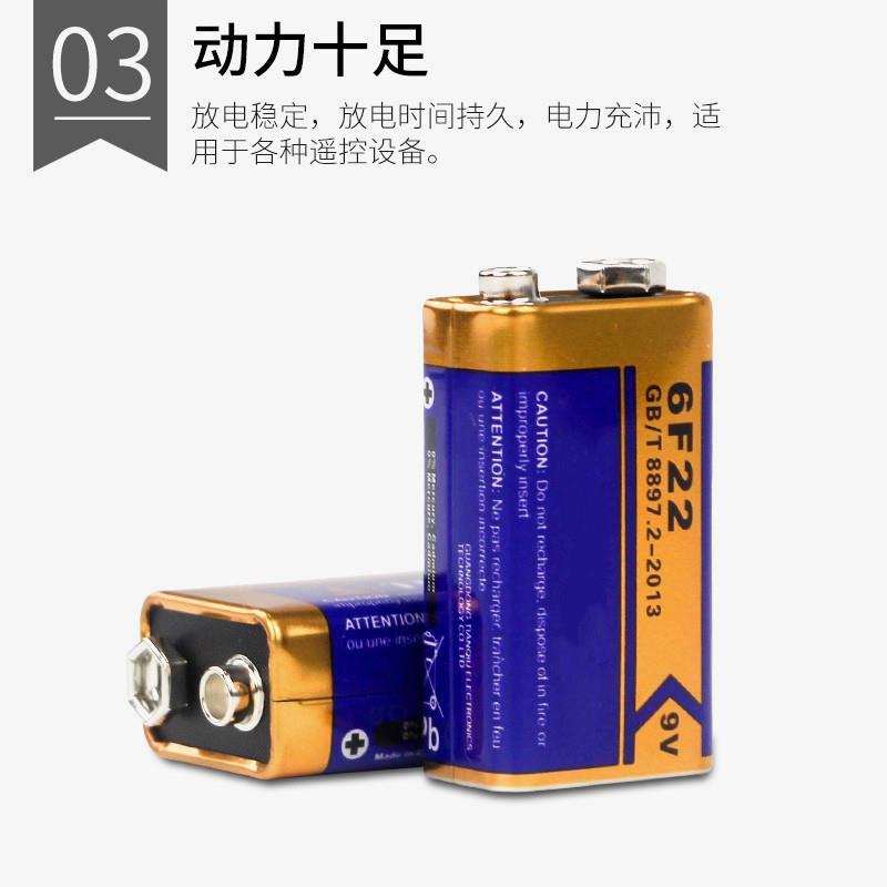 德国测温枪9V电池DBGOLD万能表6F22烟雾报警器感应器1604G测线仪-图2