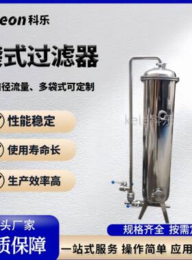 袋式过滤器不锈钢304耐腐蚀耐酸耐固液分离多带不锈钢过滤器