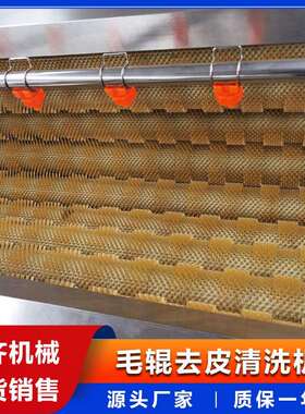 根茎类果蔬清洗去皮设备胡萝卜磨皮去泥机商用橙子软毛刷清洗机