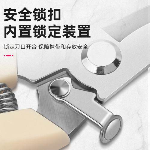 剪刀园艺剪修剪树枝园林果树专用剪子盆栽修枝修花枝花艺剪子 - 图2