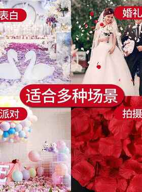 仿真花辨假玫瑰花瓣情人节表白求婚浪漫结婚婚礼布置装饰撒丝布花