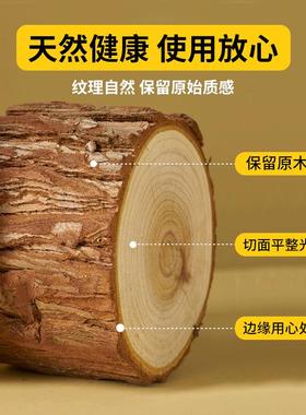 实木带皮杉木木桩园艺围栏原木石斛种植树桩花园摆件盲盒底座木头