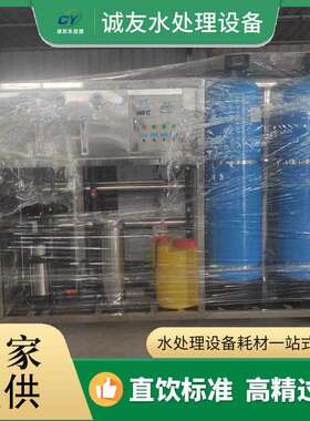 反渗透净水设备超纯水设备去离子水设备级双级纯净水设备厂家