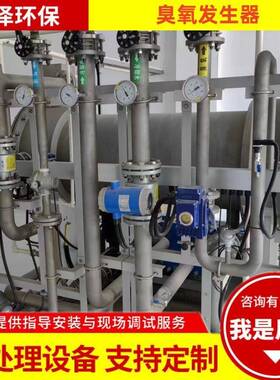 水处理臭氧发生器臭氧催化氧化装置氧气空气源大中型臭氧发生器