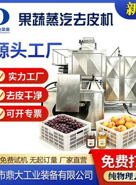 葡萄果粒蒸汽去皮机速冻果蔬流水线水果前处理深加工成套设备