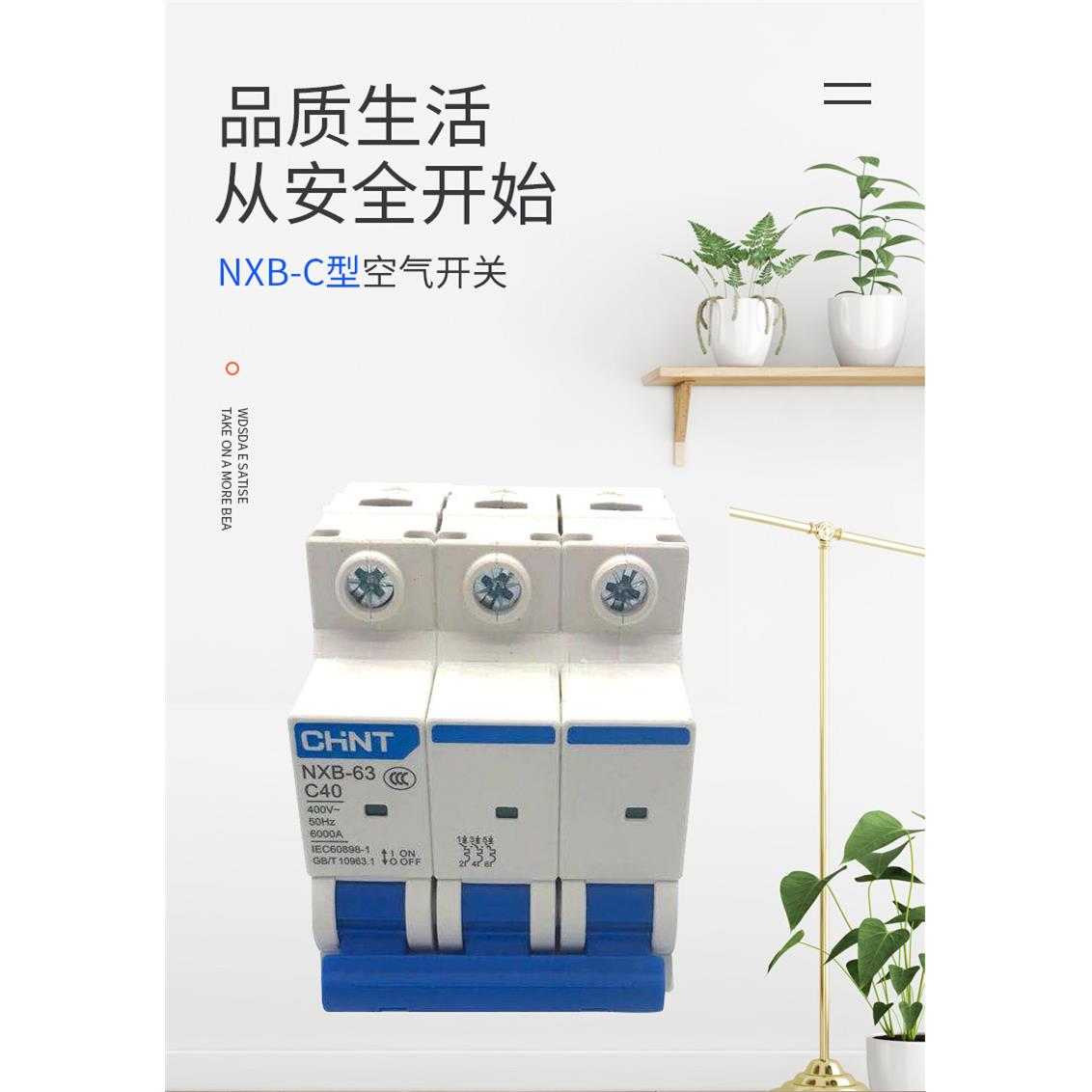 正泰昆仑系列小型断路器空气开关NXB-63D型1P2P3P4P电动机动力型 - 图0