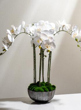 新中式台手感仿真蝴业蝶兰花商饮饭店前摆件YB-DZ-HY餐玄关壁龛餐