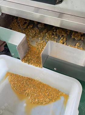 广西百香果打汁取汁机榨汁机全自动鸡蛋百香果壳汁分离机