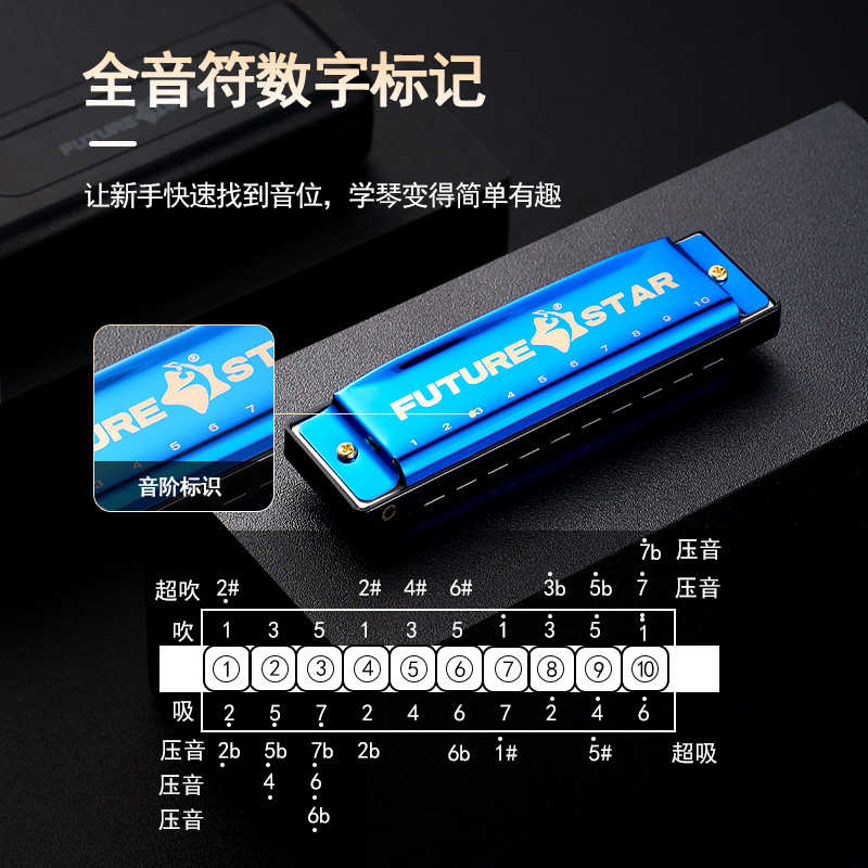 未来星多色可选10孔口琴C调布鲁斯口琴初学演奏十孔口琴Harmonica - 图0