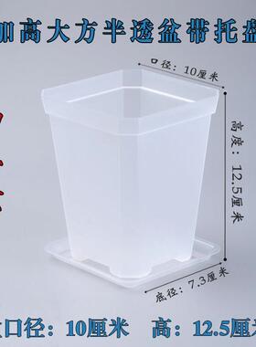 小黑方加厚花盆白透八角多肉塑料特厚盆正方形扦插育苗叶插闷养盆