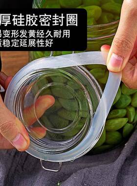 泡酒玻璃瓶专用酒瓶杨梅果酒空瓶子食品级密封罐酒罐容器酒坛酒缸