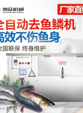 旭众全自动去鱼鳞机市场超市商用刮鳞机不锈钢草鱼鲫鱼脱鳞机设备