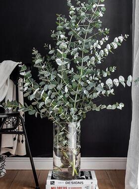 Vase furnishing articles flower arranging transparent glass