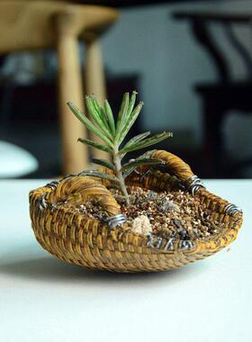 创意个性迷你小篮子树脂多肉花盆仿竹编壁挂藤编装饰品礼物圣诞节