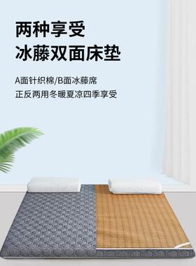 地毯卧室睡觉铺地垫子打地铺加厚可收纳可折叠地上垫学生宿舍床垫
