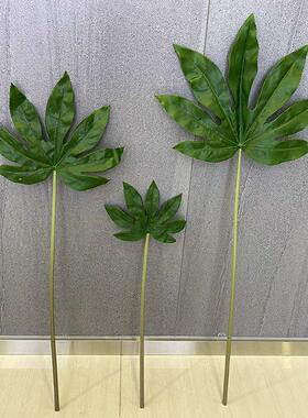 龟背叶春雨叶鸟巢叶北欧风格插花装饰绿色植物墙森系花艺马小