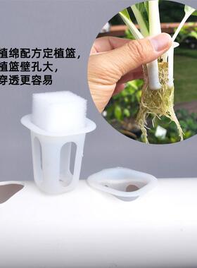 无土栽培种菜机新手种菜套装水培草莓三排三层水培设备蔬菜水耕机