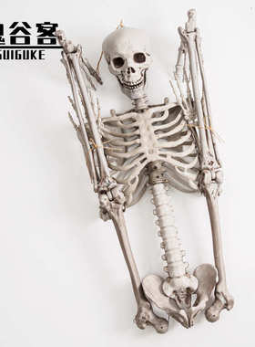 骨架人体塑道具仿真热销密室鬼屋165cm骨架装饰骷髅万圣节