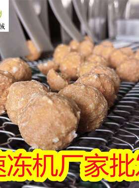 旺源供应全自动海参鲍鱼速冻机隧道式速冻机海鲜蔬菜类速冻