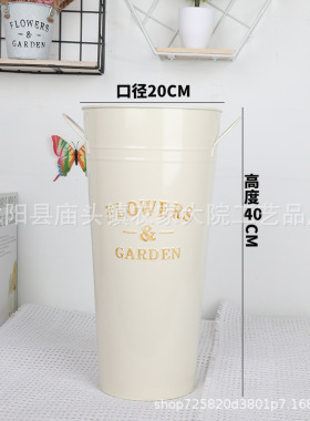 鲜花鲜花养花干花花盆装饰摆件