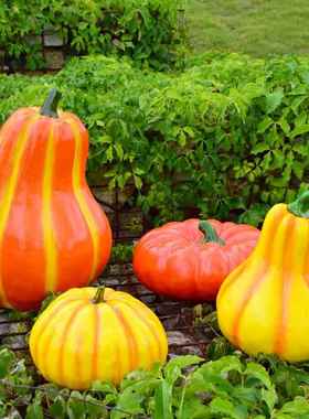 户外花园仿真玻璃钢南瓜雕塑农场庭院草坪植物景观园林装饰小品