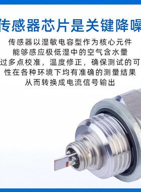 露点仪变送器 温度湿度测量仪 测量露点和显球温度