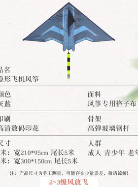 2024新款飞机风筝大人专用高档潍坊成人特大号超大型巨型专业高级