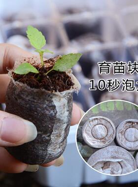 扦插育苗穴盘育苗神器专用盆营养杯塑料钵长方形托 托盘芽菜盒箱