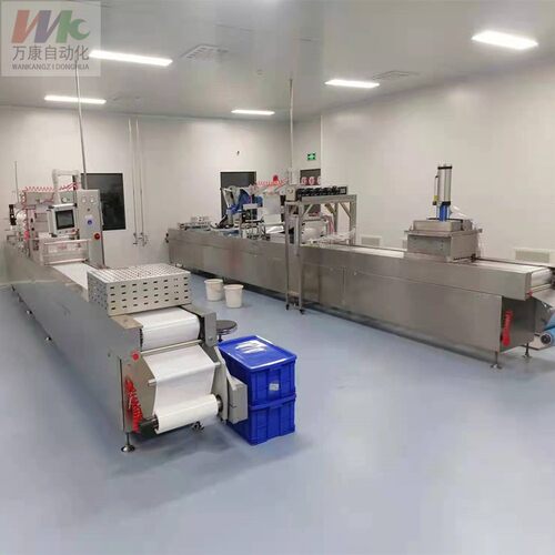 糍粑拉伸膜真空包装机全自动真空包装机年糕饵块真空封口机设备 - 图1