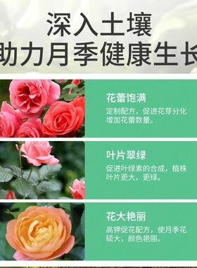 月季专用缓释肥复合肥家用型控释颗粒肥植物盆栽绿植花卉养花肥料