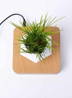 磁悬浮盆SOL栽空中物创意摆件花盆饰电视柜桌面装生植礼物日送礼