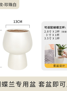 蝴蝶兰花兰花陶瓷高级单株花瓶