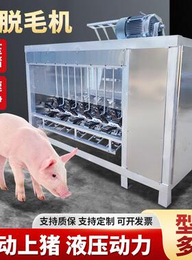 屠宰场整猪脱毛机大型杀猪刨毛机肥猪退脱毛机屠宰生猪烫脱一体机