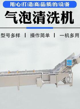 多功19503大型果蔬清洗机泡芋浸头花生气能泡自动清洗机器