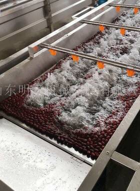 红枣气泡毛辊清洗机 大枣清洗流水线 鼓泡式连续洗果机器