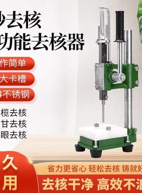 橄榄去核神器油甘果取籽机器龙眼不锈钢取核器多功能新款工具