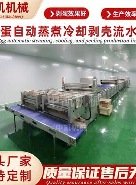 大型卤蛋流水线 适用于水煮蛋 卤蛋 铁蛋的制作 盐焗蛋流水线设备