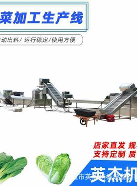 涡流洗菜机商用果蔬清洗机气泡翻滚清洗蔬菜去泥去杂设备