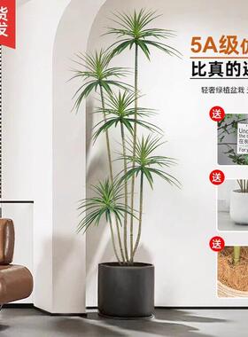 彷真绿色植物假植物轻奢客厅装饰树室内大型盆栽龙血树落地摆件彷