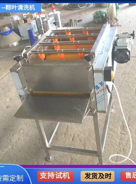 江西野生粽叶清洗机新鲜芦苇叶洗杂质设备全自动芭蕉叶清洗机器