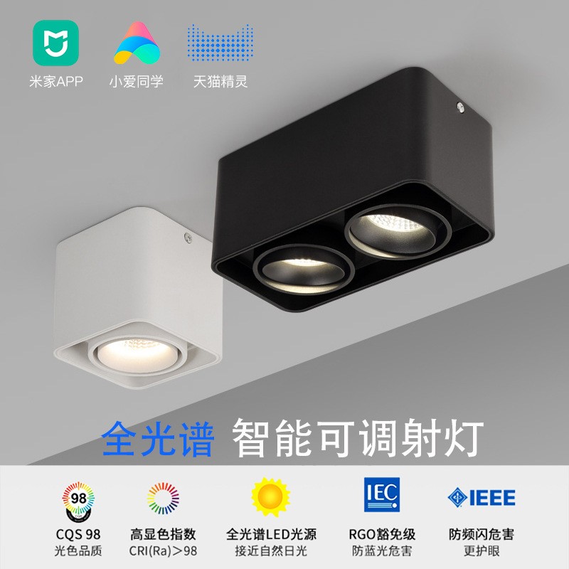 Surface-mounted double-head spotlights, smart suction-type grille bold lamps, no openings, adjustable angle downlights for home living rooms and bedrooms