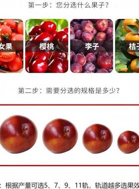 柠檬分级机 冰糖橙分级机轨道 不锈钢分选设备圣女果分级机设备