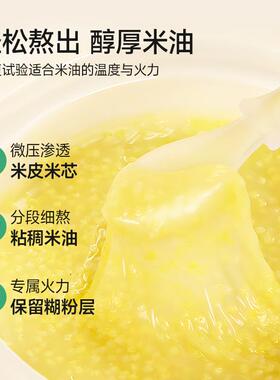 plodon浦利顿微压辅食锅婴儿宝宝辅食饭煲BB煲煮粥米油炖盅电炖锅