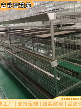养鸡笼三层立式蛋鸡笼镀锌工艺防锈耐用多规格可选