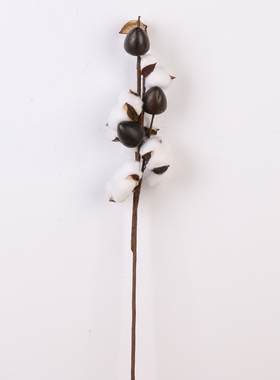 木棉花仿真花干花单支拍摄道具