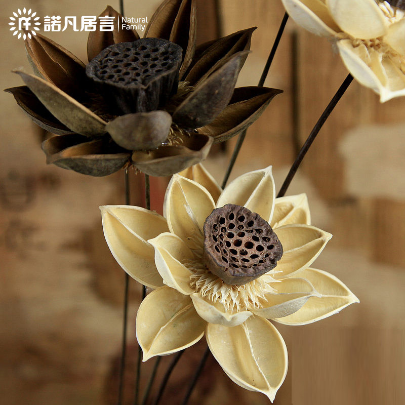 木莲花摆设 新人首单立减十元 21年11月 淘宝海外 木莲花摆设 新人首单立减十元 21年11月 淘宝海外